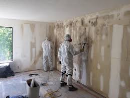 Best Industrial Mold Remediation  in USA